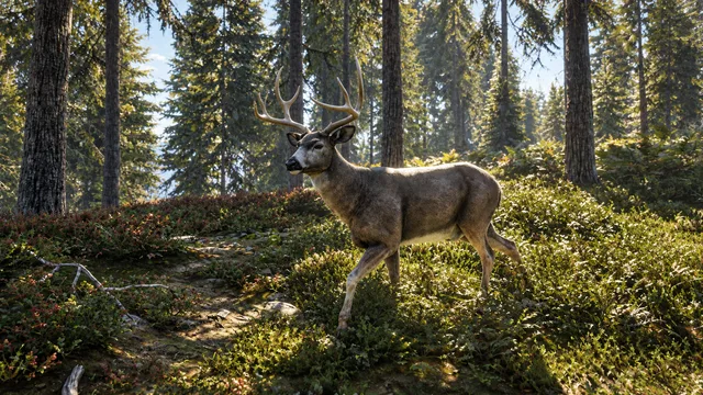 Скриншот 3 — theHunter: Call of the Wild