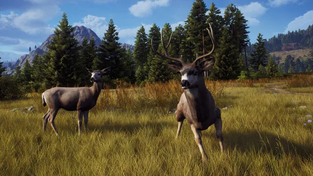 Скриншот 3 — Way of the Hunter