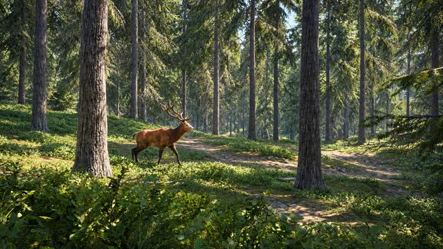 Скриншот 2 — theHunter: Call of the Wild