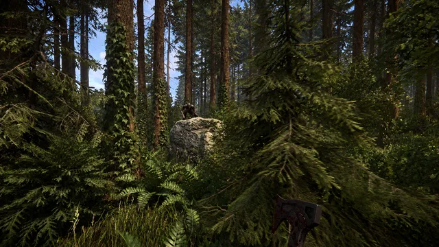 Скриншот 1 — Sons of the Forest