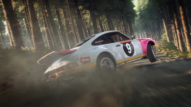 Скриншот — DiRT Rally 2.0