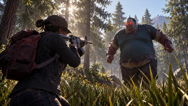 Скриншот 1 — State of Decay 2