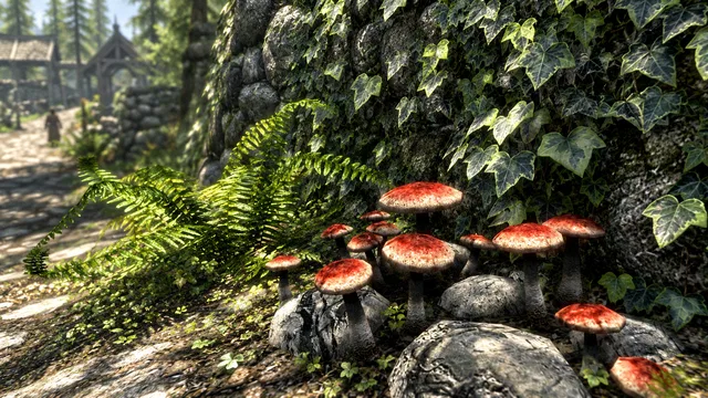 Скриншот 2 — The Elder Scrolls V: Skyrim Special Edition