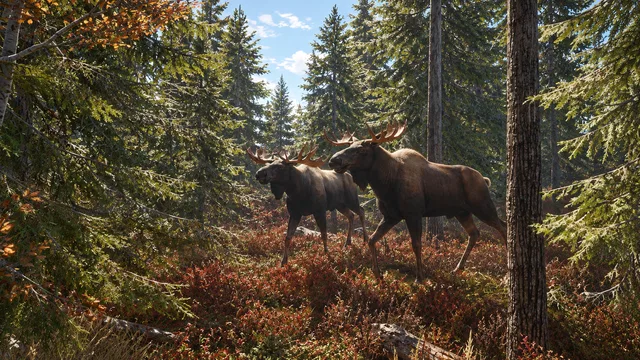 Скриншот — theHunter: Call of the Wild